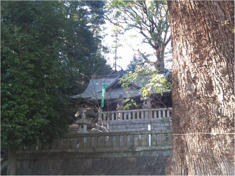 Hotel Yugawara Mizunokaori Exterior foto