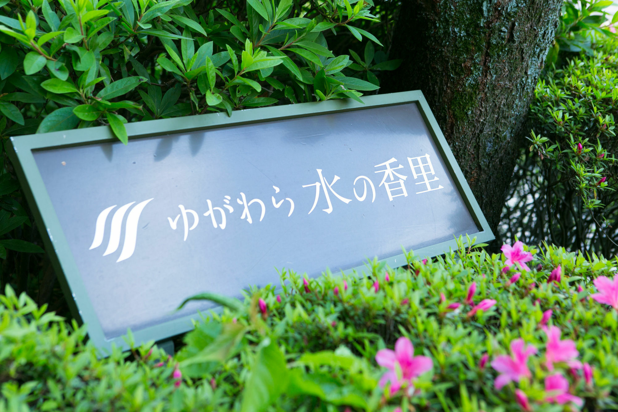 Hotel Yugawara Mizunokaori Exterior foto