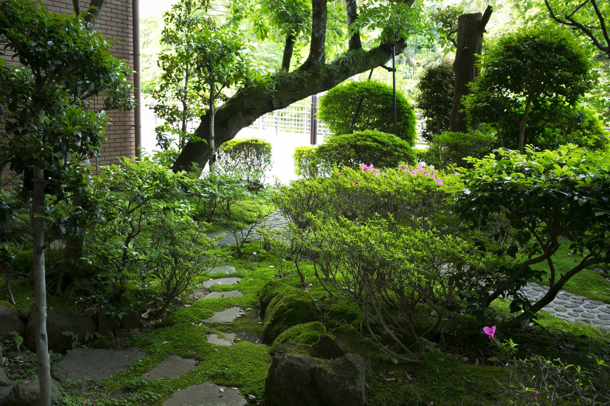 Hotel Yugawara Mizunokaori Exterior foto
